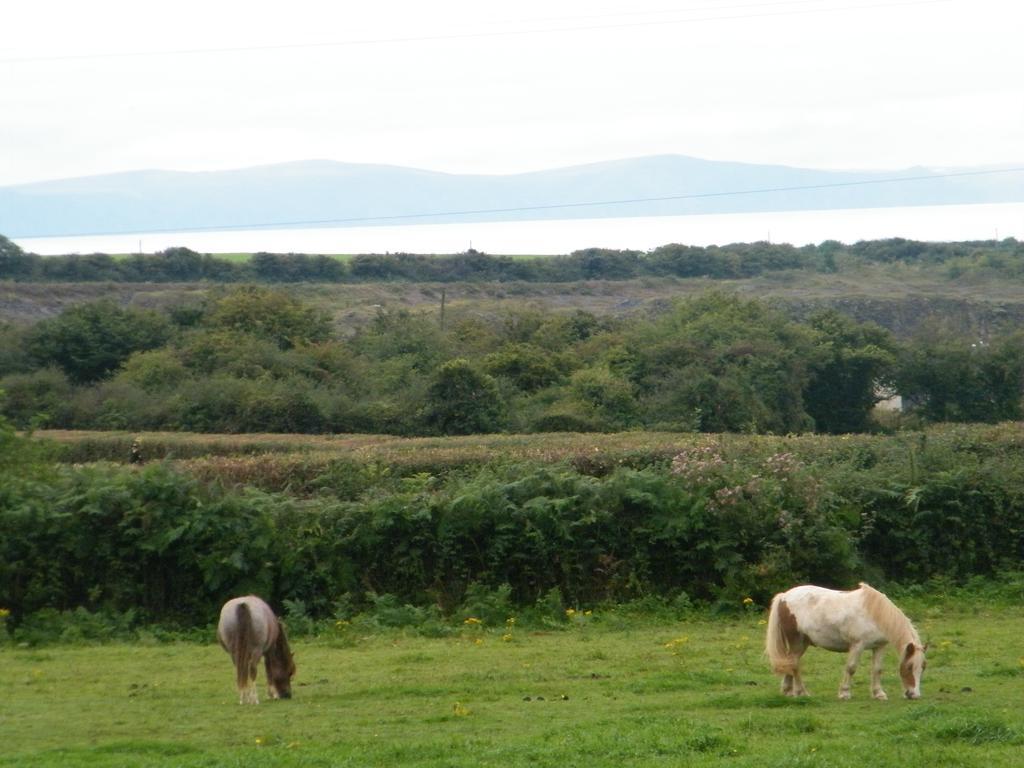 Ballas Farm Country Guest House Bridgend  Dış mekan fotoğraf